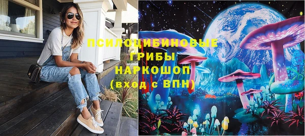 ПСИЛОЦИБИНОВЫЕ ГРИБЫ Аркадак