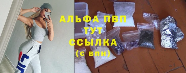 твердый Арсеньев