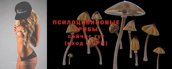 ПСИЛОЦИБИНОВЫЕ ГРИБЫ Аркадак