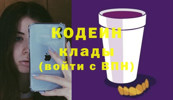 твердый Арсеньев