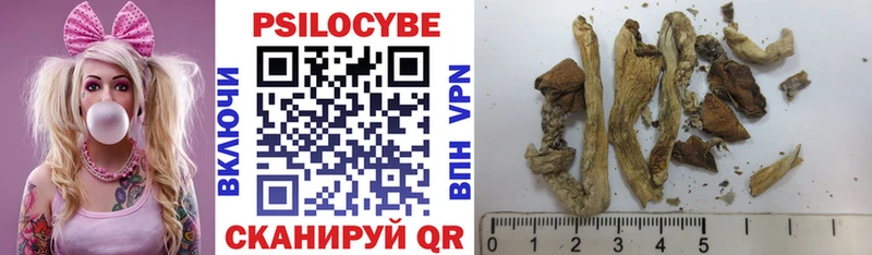 OMG   Ростов  Псилоцибиновые грибы Magic Shrooms 